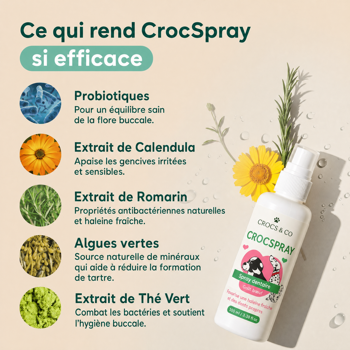 CrocSpray