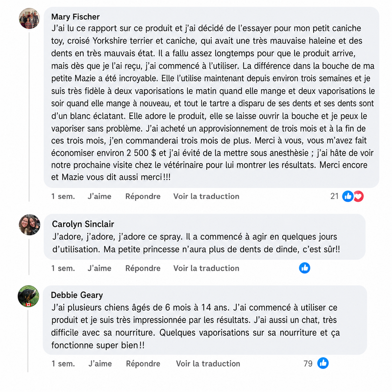 Commentaire client