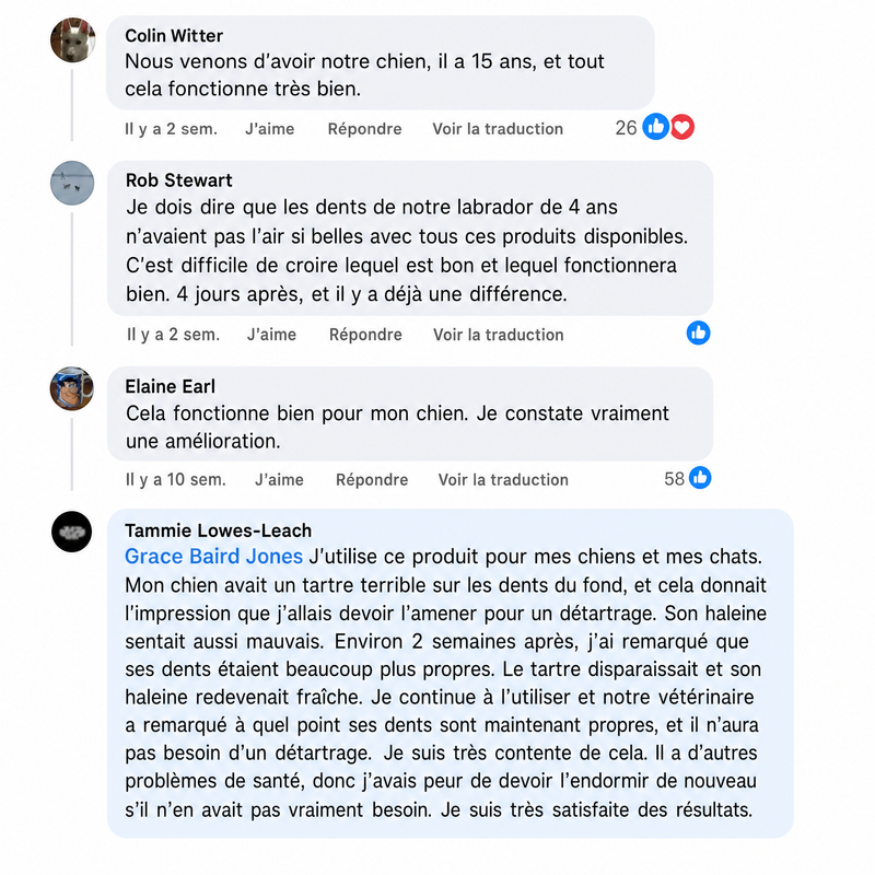 Commentaire client